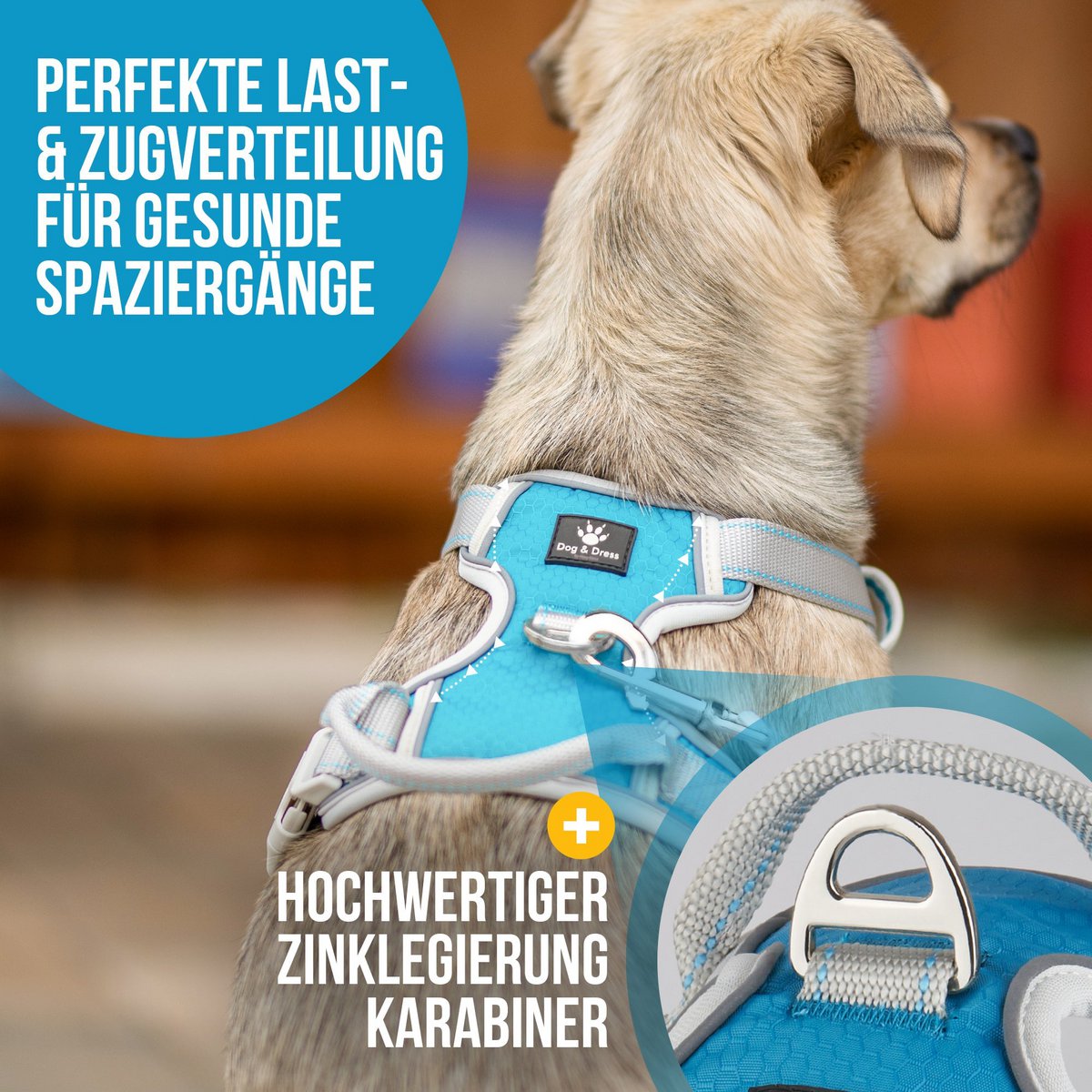 Rocket - Hundegeschirre